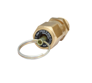 AIR SAFETY VALVE 4 BAR 1/4"EXT.