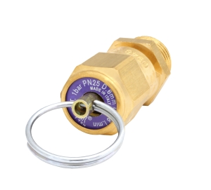 ZAWÓR BEZPIECZEŃSTWA 1 BAR G1/4"Z